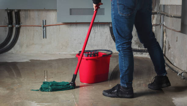 Best Water damage cleanup near me  in Cornwall, PA