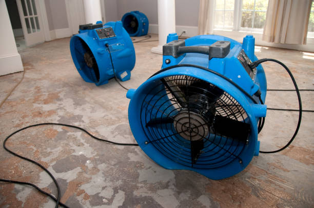 Best Ceiling water damage repair  in Cornwall, PA