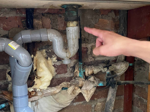 Best Water damage mitigation services  in Cornwall, PA