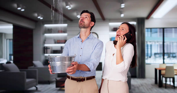 Best Water damage cleanup near me  in Cornwall, PA
