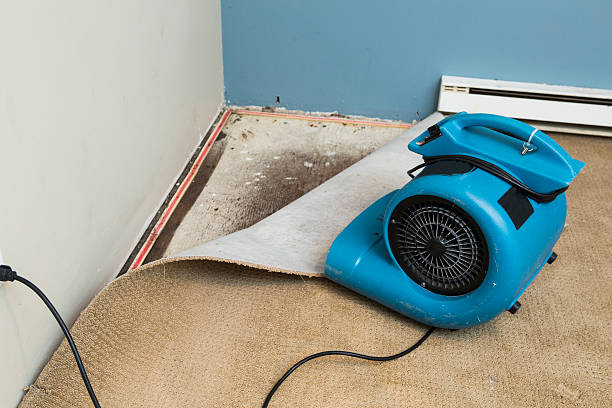 Best Flood damage cleanup  in Cornwall, PA